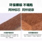 乳胶棕垫1.8米经济型椰棕双人1.5m棕榈硬席梦思床垫儿童10-40公斤